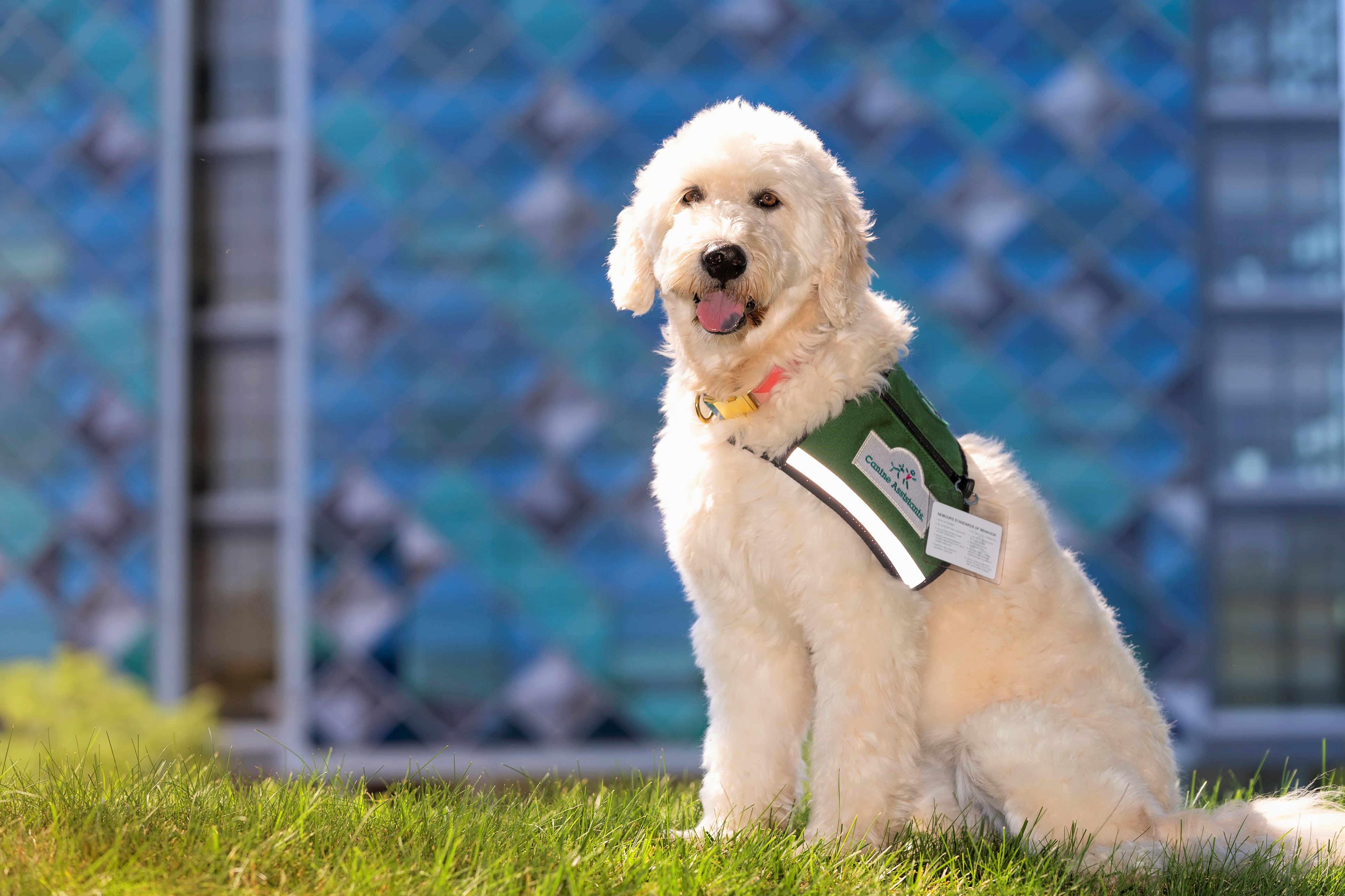 Pet Therapy Coordinator Kelsey  Ali 06-30-22 - 152.jpg